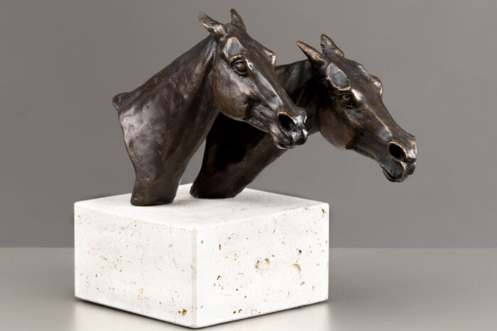 Una amazona con mucho espíritu